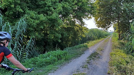 Cycle tourism in the Montgrí-Medes-Ter in Estartit Natural Park in the center of Ampurdan-Costa Brava