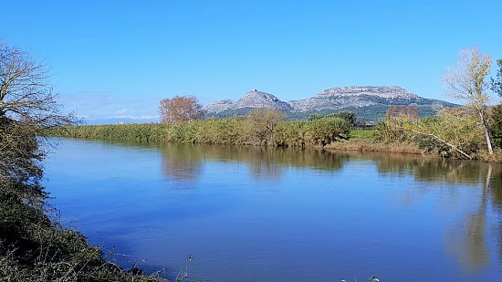 La rivière Ter à l'Estartit dans le Parc Naturel du Montgrí-Medes-Ter